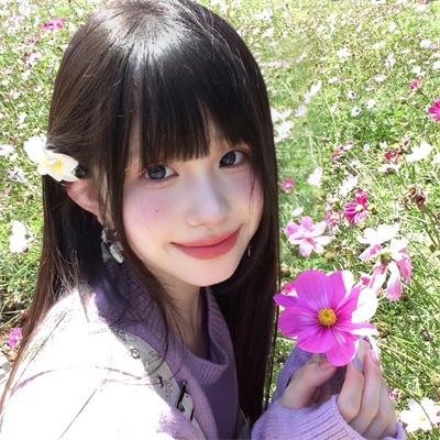 黑眉蚊